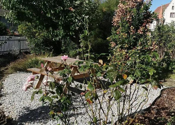 2 Dans Partage Proche De Strasbourg Homestay Wasselonne